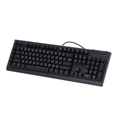 Razer Mechanical Gaming Keyboard คีย์บอร์ดเกมมิ่ง รุ่น BlackWidow V4 X