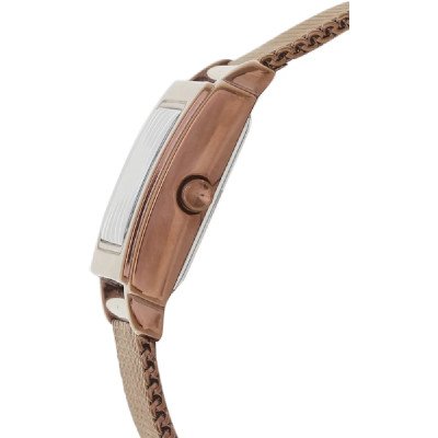 นาฬิกาข้อมือ DKNY รุ่น NY8559 DKNY Brown Stainless Steel Mesh Watch