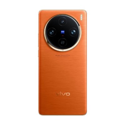 Vivo X100 Pro 256GB