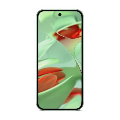 Google Pixel 9 256GB