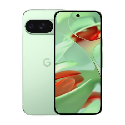 Google Pixel 9 256GB