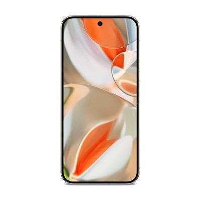 Google Pixel 9 Pro XL 256GB