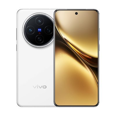 Vivo X200 5G 1TB