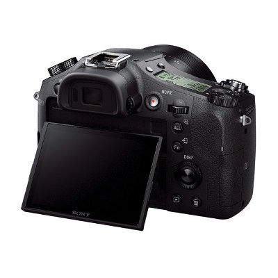 Sony Cyber-shot DSC-RX10 Compact Digital Camera