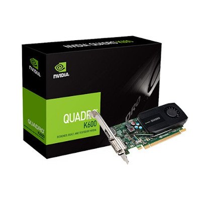 Leadtek NVIDIA Quadro K600 1GB Graphic Card