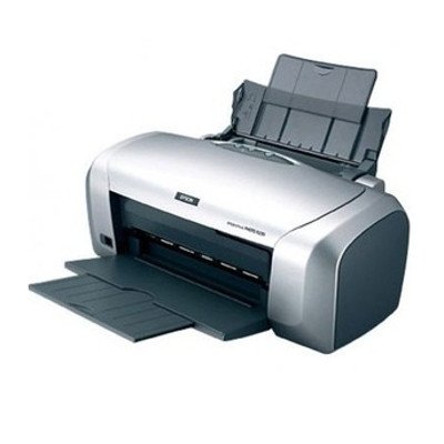 Epson Stylus Color Printer (R230X)