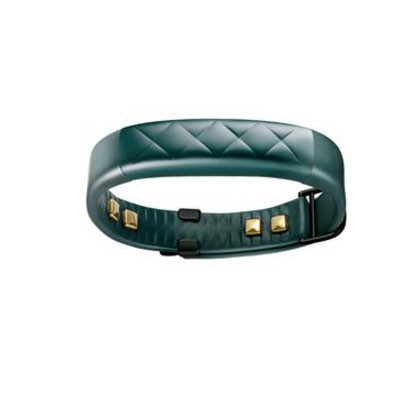 Fitbit Flex Fitness Wristband