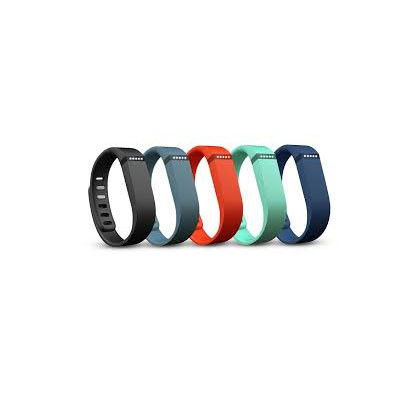 Fitbit Flex Fitness Wristband