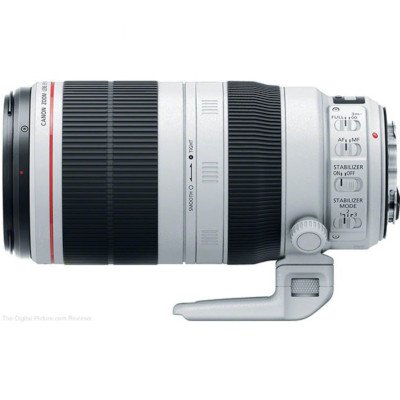 Canon EF 100-400mm F4.5-5.6 L USM