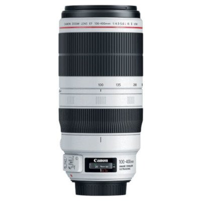 Canon EF 100-400mm F4.5-5.6 L USM