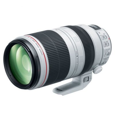 Canon EF 100-400mm F4.5-5.6 L USM