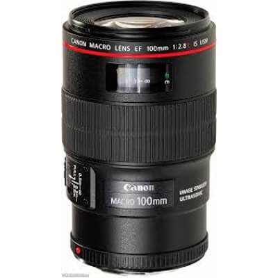 Canon EF 100mm f2.8L Macro IS USM