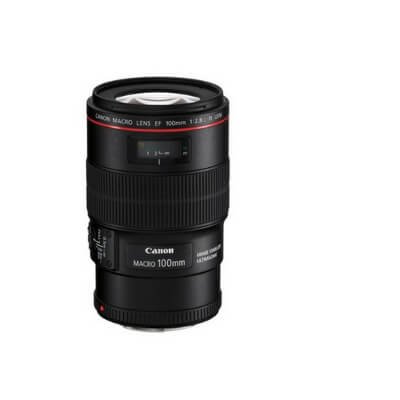 Canon EF 100mm f2.8L Macro IS USM