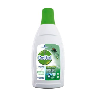 เดทตอล ผลิตภัณฑ์ฆ่าเชื้อแบคทีเรียสำหรับเสื้อผ้า 750 มล. (Dettol Anti-Bacterial Laundry Sanitiser 750ml)