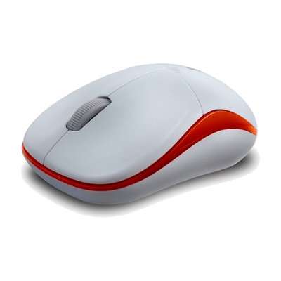 Rapoo Wireless Optical Mouse เมาส์ไร้สาย รุ่น 1090p