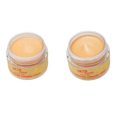 Skinfood Salmon Dark Circle Concealer Cream