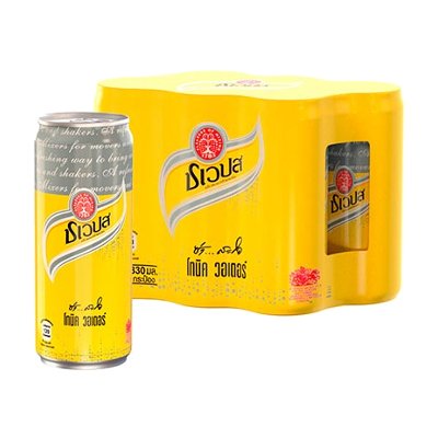 ชเวปส์ มิกเซอร์ โทนิค 330 มล. 6 กระป๋อง (Schweppes Tonic Water 330ml  6 cans)