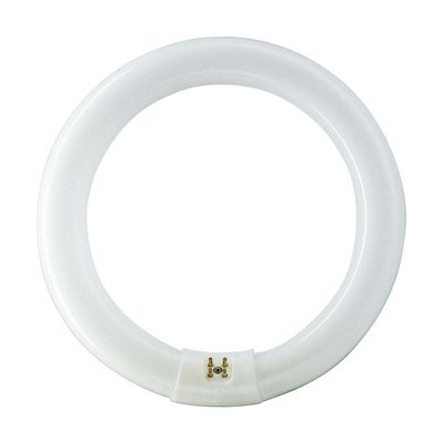 Philips Circular Fluorescent TL-E 32W 865