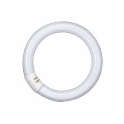 Philips Circular Fluorescent TL-E 32W 865