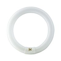 ราคา Philips Circular Fluorescent TL-E 32W 865