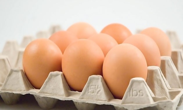 10 ประโยชน์ของ ไข่ เหตุใดจึงต้องกินเป็นมื้อเช้า - Shopping Guides  ตัวช่วยในการเลือกซื้อสินค้า