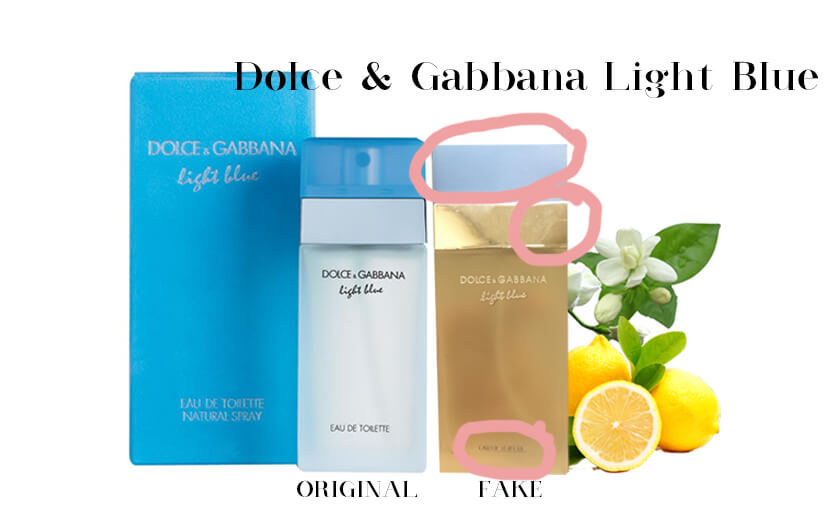 Dolce & Gabbana Light Blue