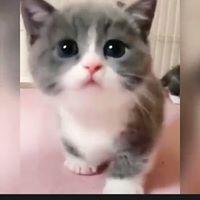 สุริยะ มาลีพรหมณ์