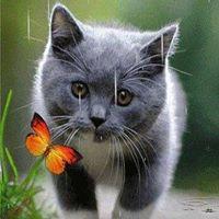 ปภัสสร ในสายชล