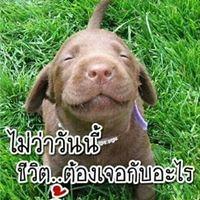 ขอเป็นข้ารองบาท ทุกชาติไป (88)